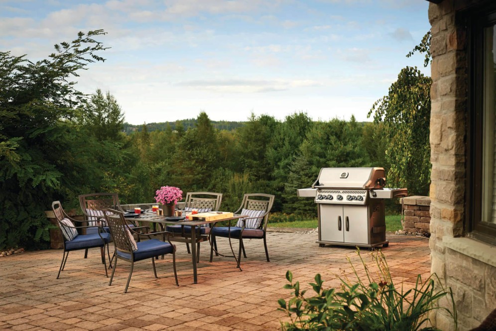Rogue grills johnson pools and spas